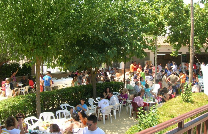 Caña en la glorieta